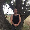 ���� �����, �������������, 40 ��� - ��������� 8 ������� 2023 � ������ ���� ����������