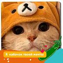 ���� ��������, �����-���������, 24 ���� - ��������� 4 ������ 2023