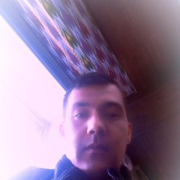 , 33, 