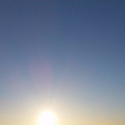 ��, ������������, 51 ���