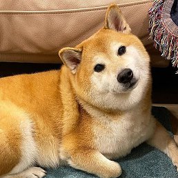 ������, ������, 33 ����