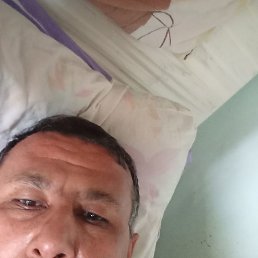 �������, �����������, 37 ���