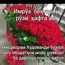 , , 31 