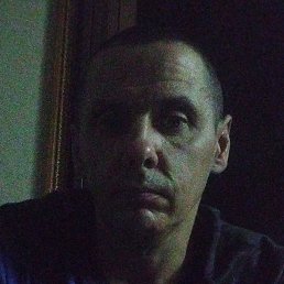 ����, �����������, 44 ����