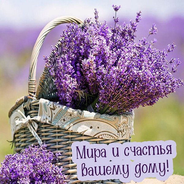 В каждой первой чашке утреннего кофе... Есть надежда на то, что день будет добрым... Принесёт с ... - 2