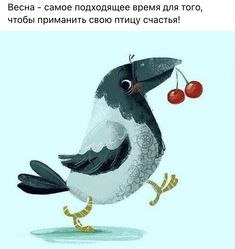   - 27  2023  11:41
