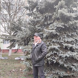 ������, �������, 63 ����