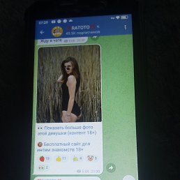 �����, ������, 44 ����