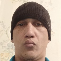 ������, �������, 41 ���