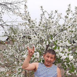 ���� ��������, ������, 60 ��� - ��������� 9 ���� 2023