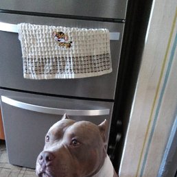 ���� ������, ����, 48 ��� - ��������� 27 ����� 2023