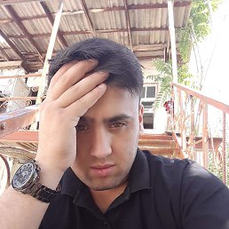 ���, ������ ��������, 37 ���