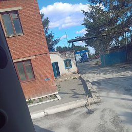 ����, ������ ��������, 33 ����