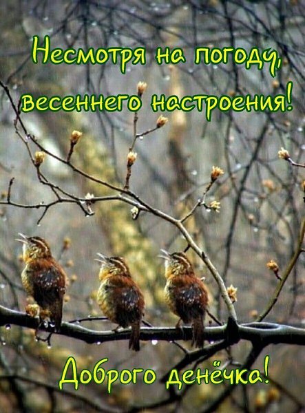 **********************¤ ¤ ¤************************