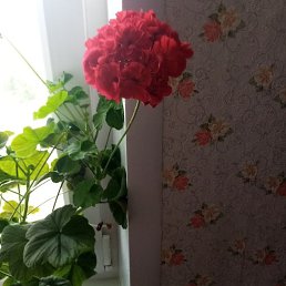 ���� �����, ��������, 49 ��� - ��������� 23 ��� 2023