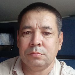 �����, ������, 37 ���