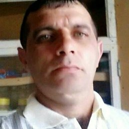 �����, ������ ��������, 40 ���