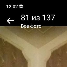 �����, ������, 38 ���