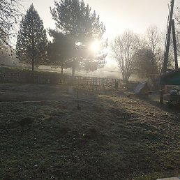 ������, ������, 35 ���