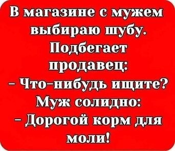 ������������� ���� - 13 ������� 2023 � 20:20