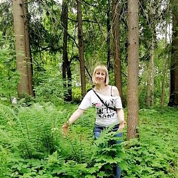 ������, ������, 43 ����