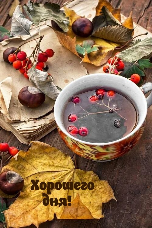 ***Victoria Viktorovna*** - 16  2023  09:00