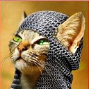 ���� ��������*, �������� - ��������� 10 ������� 2023 � ������ ���� ����������