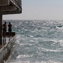 ����, ���������, 37 ���