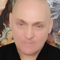 ������, ������, 40 ���