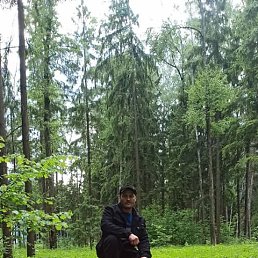 ���, ������, 41 ���