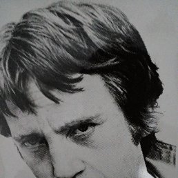 ���� ����, �������, 36 ��� - ��������� 8 ���� 2023