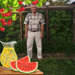 �������, ������, 75 ���