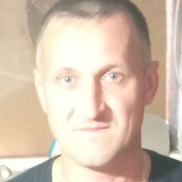 ������, ������, 46 ���