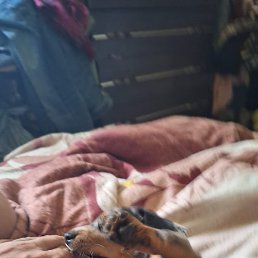 �����, ������� ��������, 48 ���