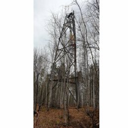 �����, ������, 55 ���