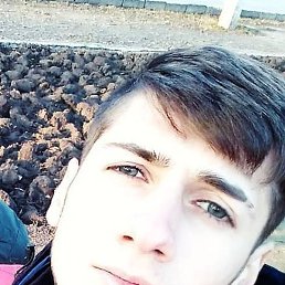 �����, �������, 25 ���