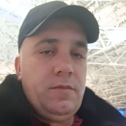 ������, ������, 51 ���