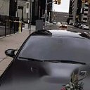 ���� ����, ������, 36 ��� - ��������� 16 �������� 2023 � ������ ���� ����������
