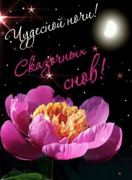   ,    . - 13  2023  20:14