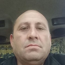 �����, ������, 51 ���