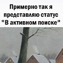 ���� �����, �����������, 54 ���� - ��������� 25 ��� 2023 � ������ ���� ����������