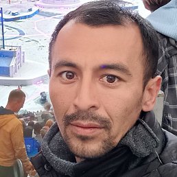 ����, ������, 37 ���