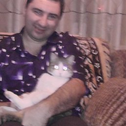 ������, �����������, 40 ���