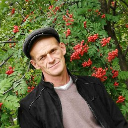 ����, ������������, 50 ���