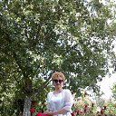 ���� ������, ������, 105 ��� - ��������� 9 ������� 2023 � ������ ���� ����������