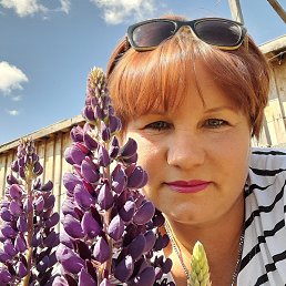 �����, ���������, 47 ���