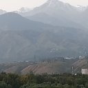 ���� ����, ���������, 44 ���� - ��������� 8 ������� 2023 � ������ ���� ����������