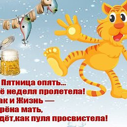 ����, �����������, 36 ���