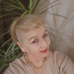 �����, ������, 56 ���