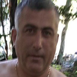 Tazo, �������, 49 ���